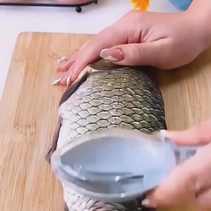 Fish Scale Remover